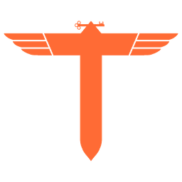 TwinMeta Logo